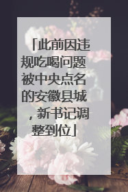 此前因违规吃喝问题被中央点名的安徽县城，新书记调整到位