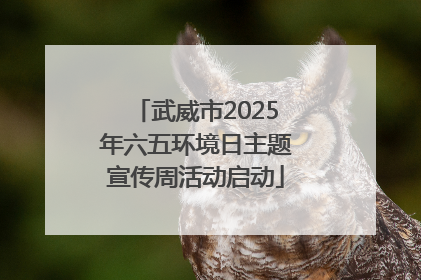 武威市2025年六五环境日主题宣传周活动启动