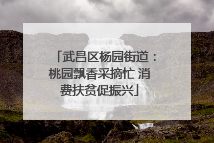 武昌区杨园街道：桃园飘香采摘忙 消费扶贫促振兴