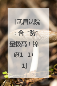 武昌法院：含“赞”量极高！锦旗1+1+1