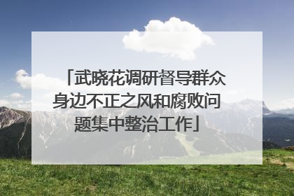 武晓花调研督导群众身边不正之风和腐败问题集中整治工作