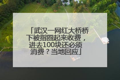 武汉一网红大桥桥下被指圈起来收费，进去100块还必须消费？当地回应