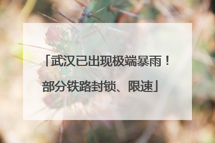 武汉已出现极端暴雨！部分铁路封锁、限速