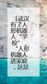 武汉有了人形机器人“学校”，“人形机器人进家庭，这是第一步”