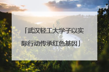 武汉轻工大学子以实际行动传承红色基因
