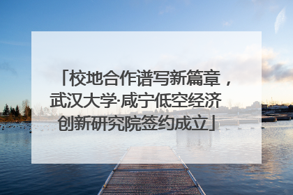 校地合作谱写新篇章，武汉大学·咸宁低空经济创新研究院签约成立