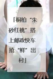 桐柏“朱砂红桃”搭上邮政快车抢“鲜”出村