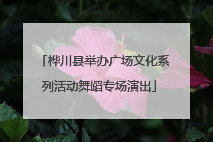 桦川县举办广场文化系列活动舞蹈专场演出