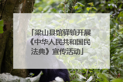梁山县馆驿镇开展《中华人民共和国民法典》宣传活动