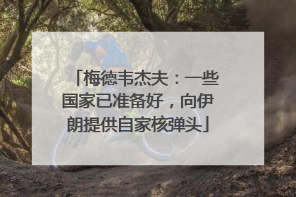 梅德韦杰夫：一些国家已准备好，向伊朗提供自家核弹头