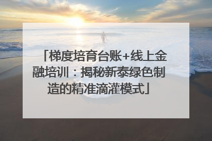 梯度培育台账+线上金融培训：揭秘新泰绿色制造的精准滴灌模式