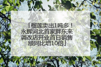 榴莲卖出1吨多！永辉河北首家胖东来调改店开业首日销售额同比增10倍