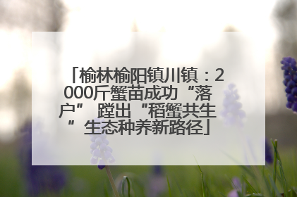 榆林榆阳镇川镇：2000斤蟹苗成功“落户” 蹚出“稻蟹共生”生态种养新路径