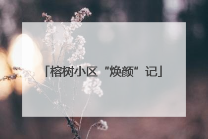 榕树小区“焕颜”记