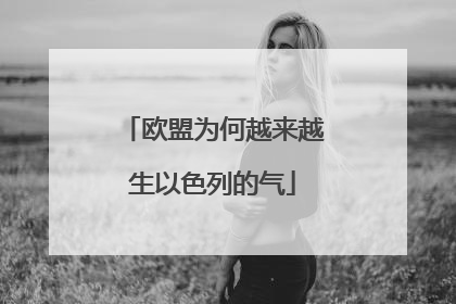 欧盟为何越来越生以色列的气