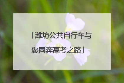 潍坊公共自行车与您同奔高考之路