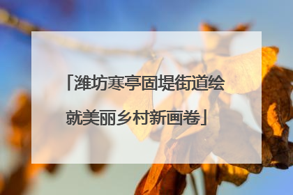潍坊寒亭固堤街道绘就美丽乡村新画卷