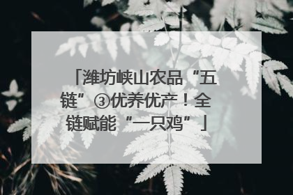 潍坊峡山农品“五链”③优养优产！全链赋能“一只鸡”