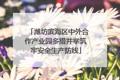 潍坊滨海区中外合作产业园多措并举筑牢安全生产防线
