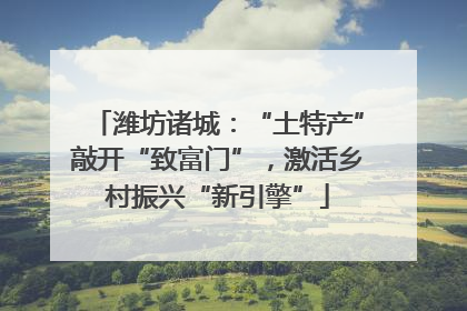 潍坊诸城：“土特产”敲开“致富门”，激活乡村振兴“新引擎”