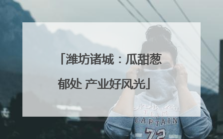 潍坊诸城：瓜甜葱郁处 产业好风光