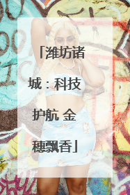潍坊诸城：科技护航 金穗飘香