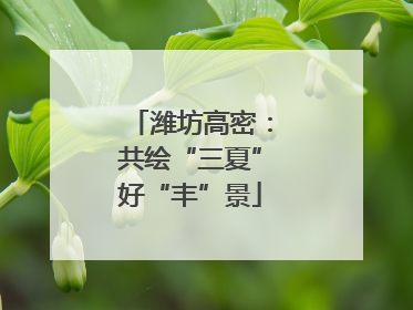 潍坊高密：共绘“三夏”好“丰”景