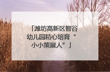 潍坊高新区智谷幼儿园精心培育“小小策展人”