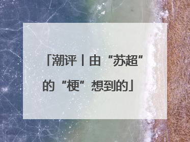 潮评丨由“苏超”的“梗”想到的