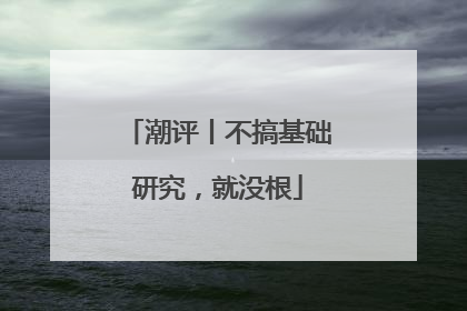 潮评丨不搞基础研究，就没根