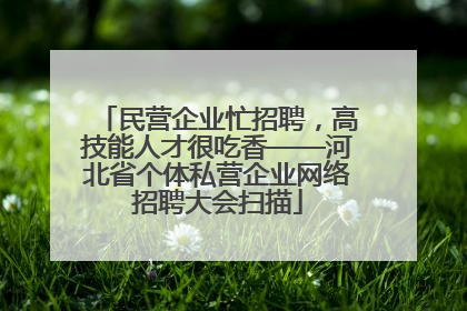 民营企业忙招聘，高技能人才很吃香——河北省个体私营企业网络招聘大会扫描