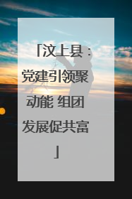 汶上县：党建引领聚动能 组团发展促共富