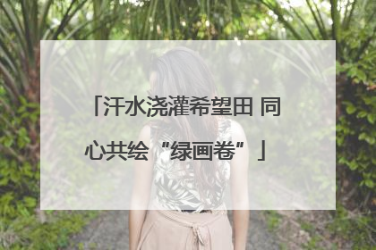 汗水浇灌希望田 同心共绘“绿画卷”