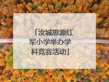 汝城思源红军小学举办学科竞赛活动