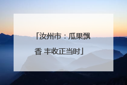 汝州市：瓜果飘香 丰收正当时