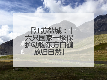 江苏盐城：十六只国家一级保护动物东方白鹳放归自然