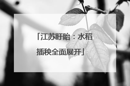 江苏盱眙：水稻插秧全面展开