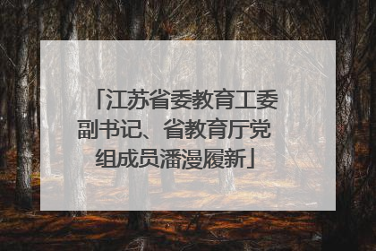 江苏省委教育工委副书记、省教育厅党组成员潘漫履新