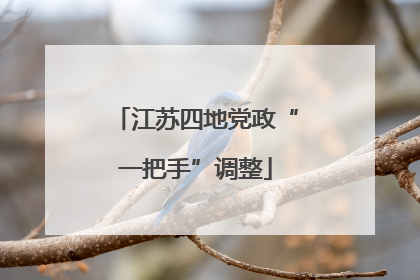 江苏四地党政“一把手”调整
