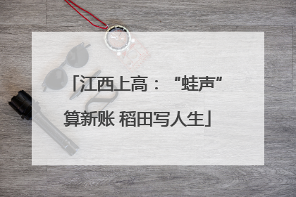 江西上高：“蛙声”算新账 稻田写人生
