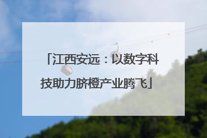 江西安远：以数字科技助力脐橙产业腾飞