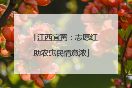 江西宜黄：志愿红助农惠民情意浓