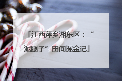 江西萍乡湘东区：“泥腿子”田间掘金记