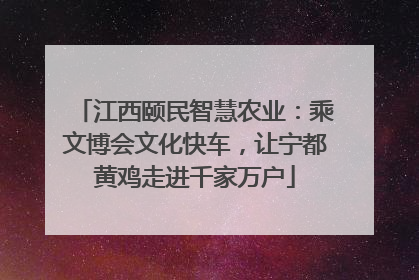 江西颐民智慧农业：乘文博会文化快车，让宁都黄鸡走进千家万户