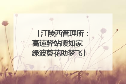 江陵西管理所：高速驿站暖如家 绿波葵花助梦飞