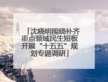 沈晓明围绕补齐重点领域民生短板开展“十五五”规划专题调研