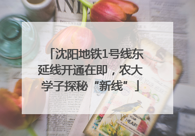 沈阳地铁1号线东延线开通在即，农大学子探秘“新线”