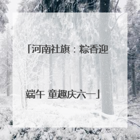 河南社旗：粽香迎端午 童趣庆六一