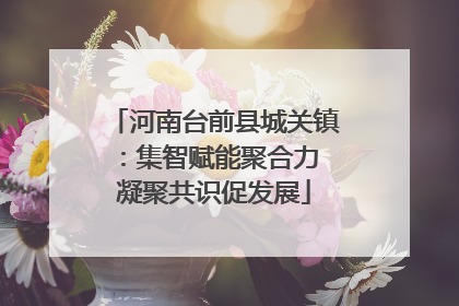 河南台前县城关镇：集智赋能聚合力 凝聚共识促发展