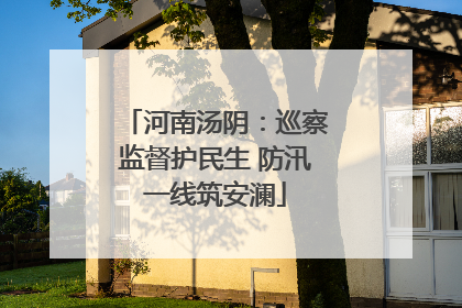 河南汤阴：巡察监督护民生 防汛一线筑安澜